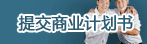 提交商业计划