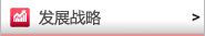 发展战略